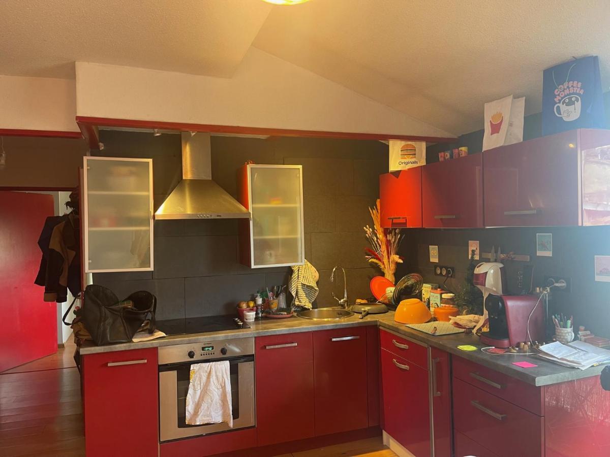 Appartement Au Centre Ville De טולוז מראה חיצוני תמונה